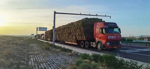 锡林郭勒盟交通运输局多举措保障物流运输畅通